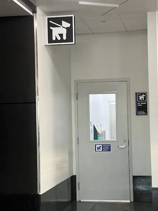 Animal Relief Area Picture 4