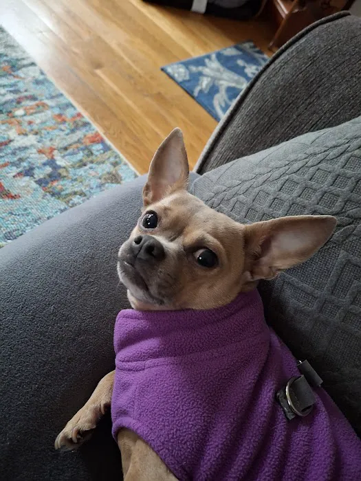 Hingham Animal Clinic Picture 2