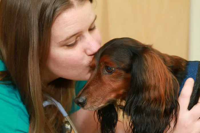 Hingham Animal Clinic Picture 7