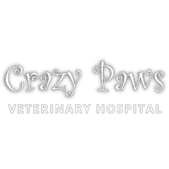 Crazy Paws Veterinary Hospital Picture 1