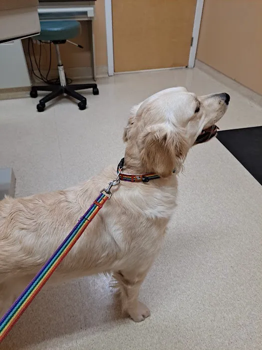 Marshfield Animal Hospital Picture 7