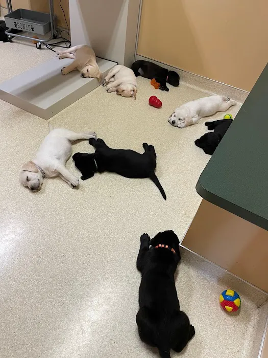 Marshfield Animal Hospital Picture 10