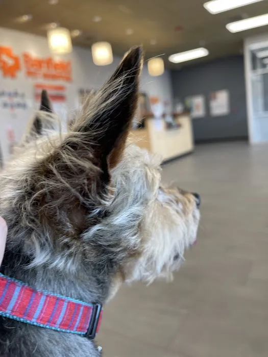Banfield Pet Hospital Picture 10