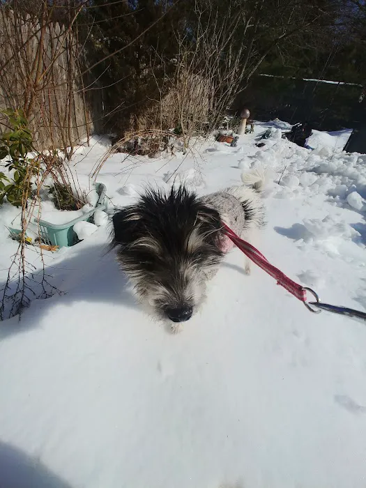 Pilgrim Animal Hospital Picture 2
