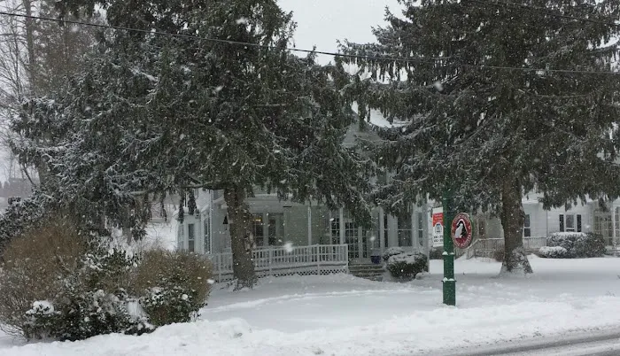 Court Street Animal Hospital Picture 2