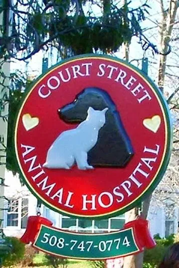 Court Street Animal Hospital Picture 3
