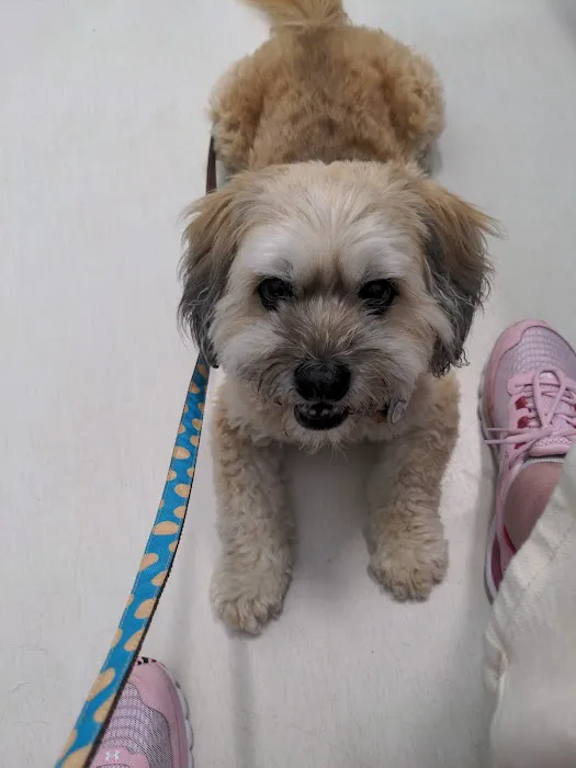 Veterinary Urgent Care Center - Plymouth Picture 6