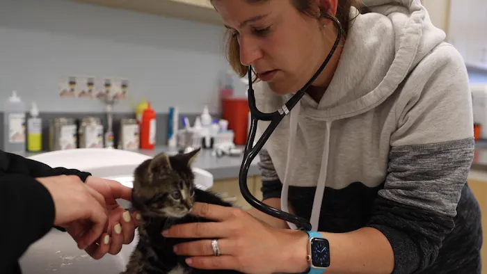 Veterinary Urgent Care Center - Plymouth Picture 10
