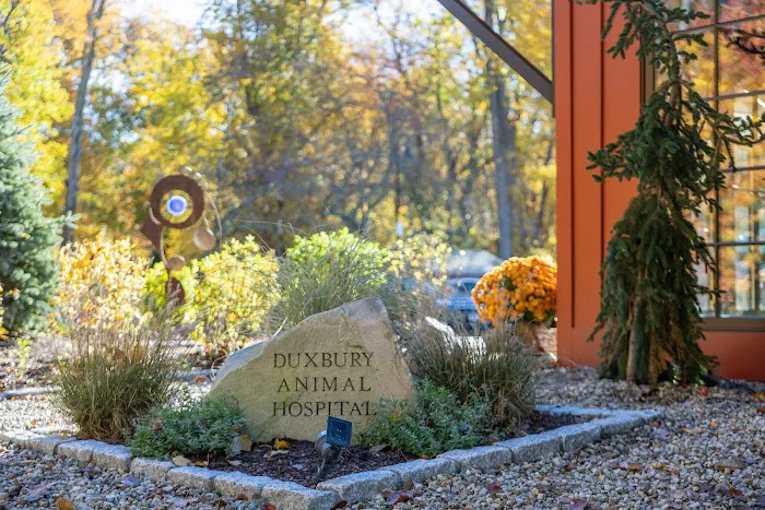 Duxbury Animal Hospital Picture 6
