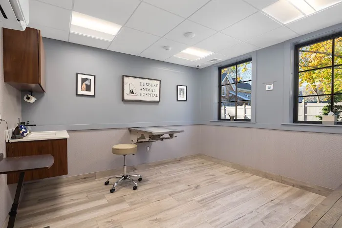 Duxbury Animal Hospital Picture 9