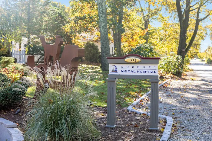 Duxbury Animal Hospital Picture 10