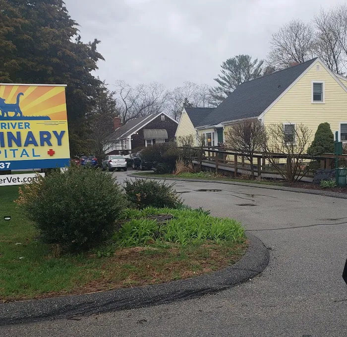 South River Veterinary Hospital & Service Picture 2