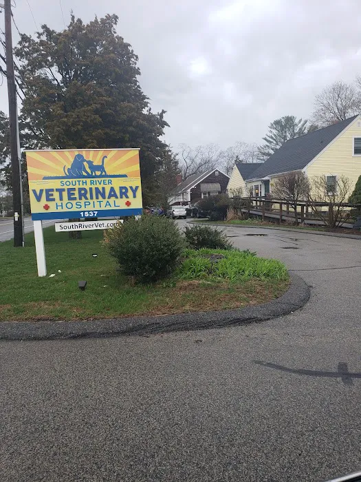 South River Veterinary Hospital & Service Picture 5