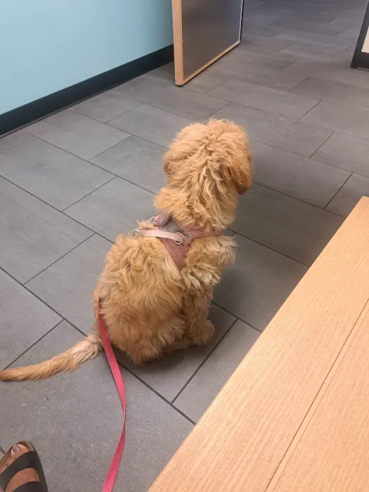 Banfield Pet Hospital Picture 5