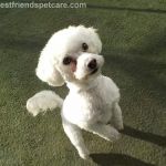 VCA Lynnfield by the Lake Animal Hospital