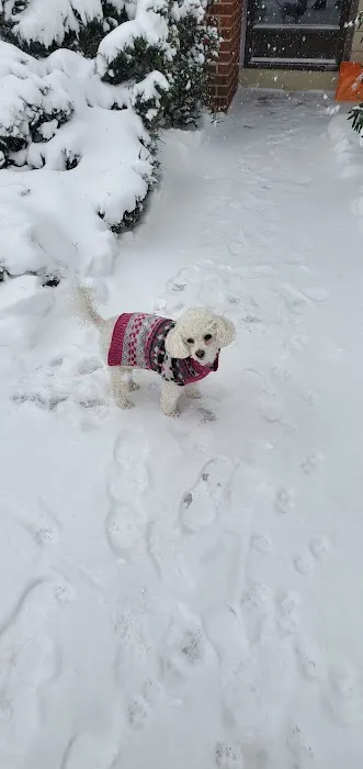VCA Lynnfield by the Lake Animal Hospital Picture 7