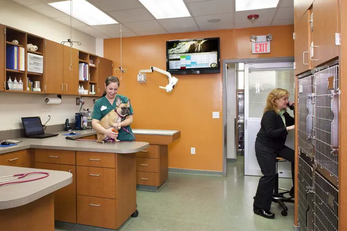 Melrose Animal Clinic Picture 1