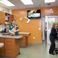 Melrose Animal Clinic ico