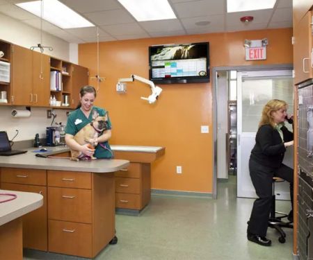Melrose Animal Clinic