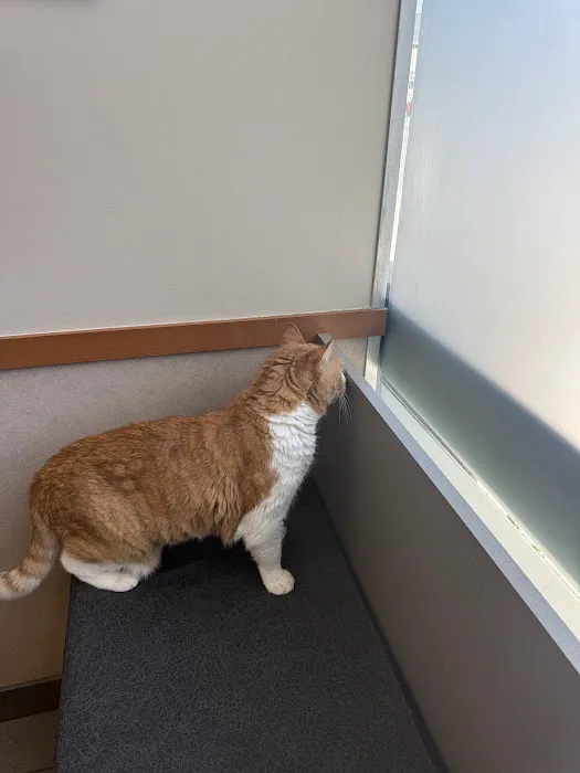 Melrose Animal Clinic Picture 3