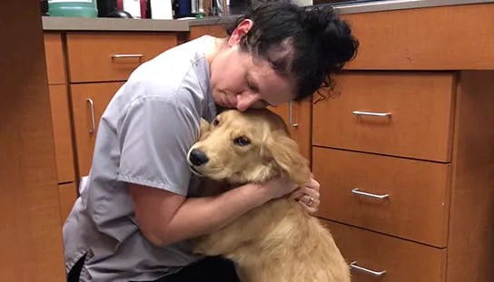 Melrose Animal Clinic Picture 6