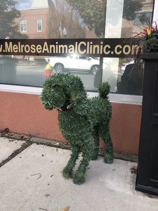 Melrose Animal Clinic Picture 8