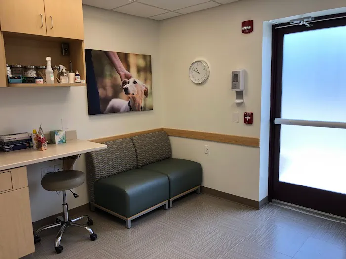 VCA Wakefield Animal Hospital Picture 4
