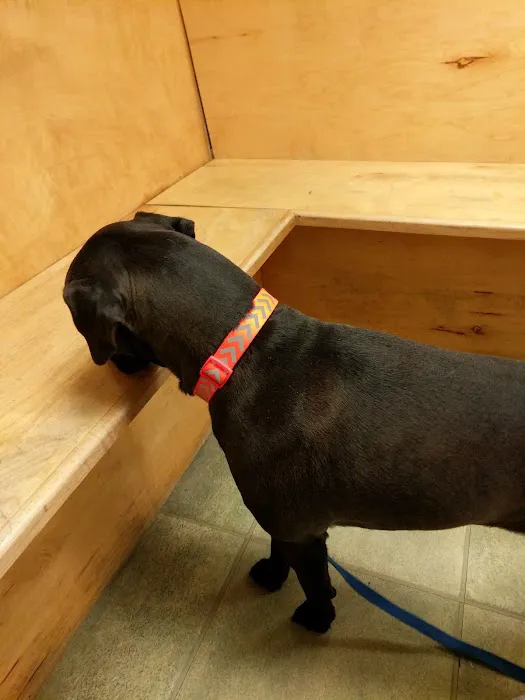VCA Wakefield Animal Hospital Picture 8