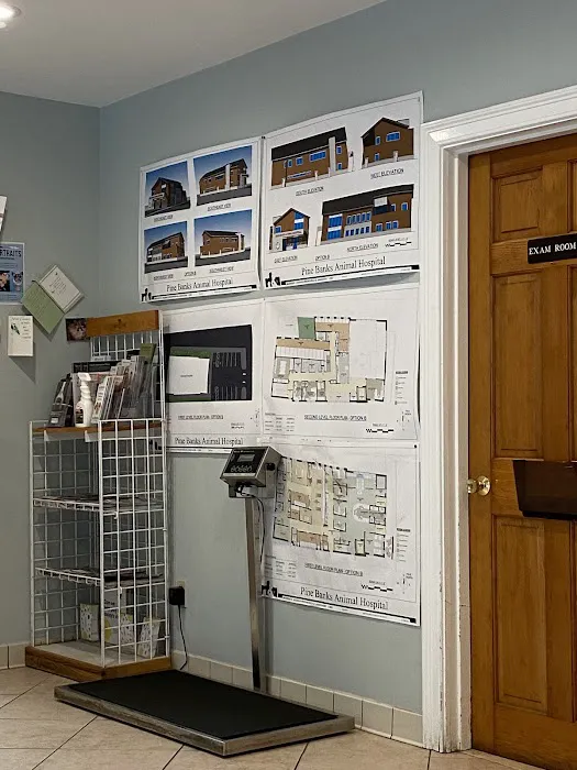 Pine Banks Animal Hospital Picture 4