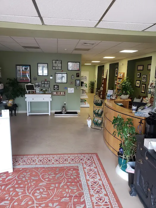 Our Family Veterinary Services Picture 4