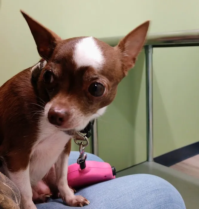 Stokesdale Veterinary Hospital Picture 2