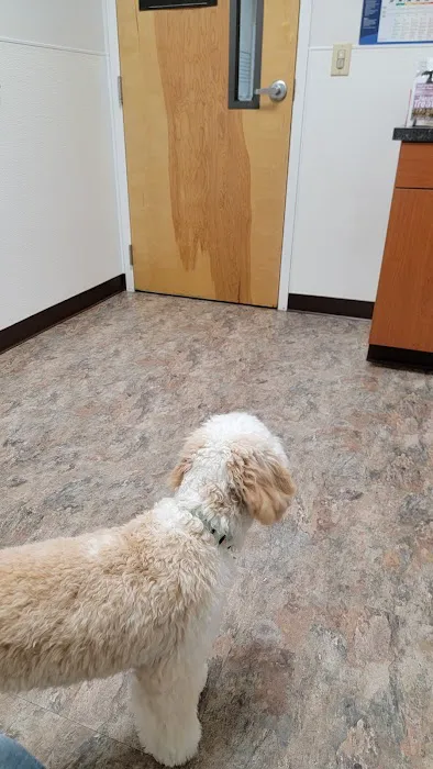 King's Crossing Animal Hospital Picture 5