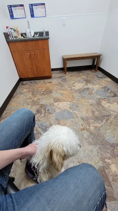 King's Crossing Animal Hospital Picture 6
