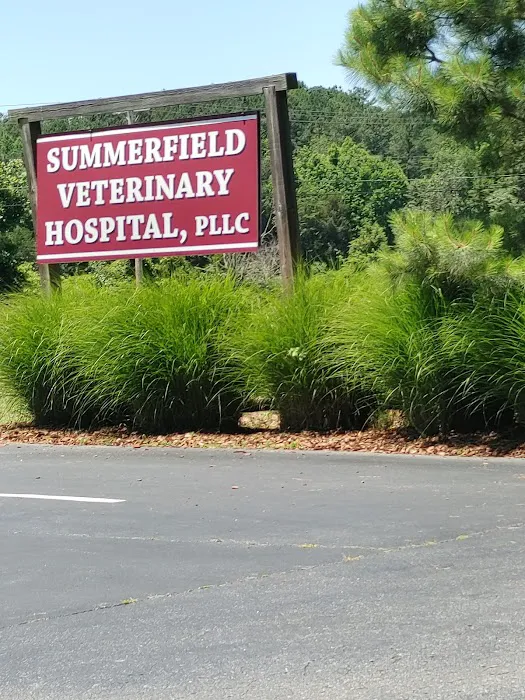 Summerfield Veterinary Hospital: Thomas Sue DVM Picture 5