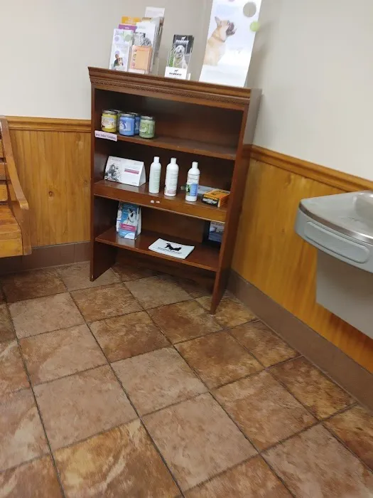 Summerfield Veterinary Hospital: Thomas Sue DVM Picture 2