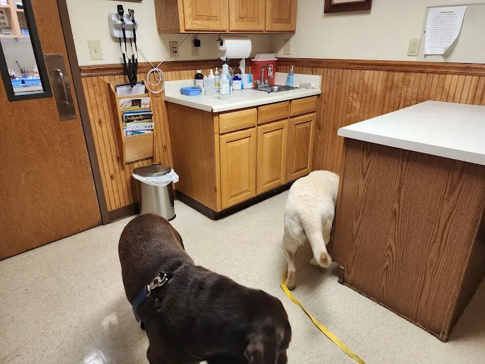 Summerfield Veterinary Hospital P.L.L.C. Picture 4
