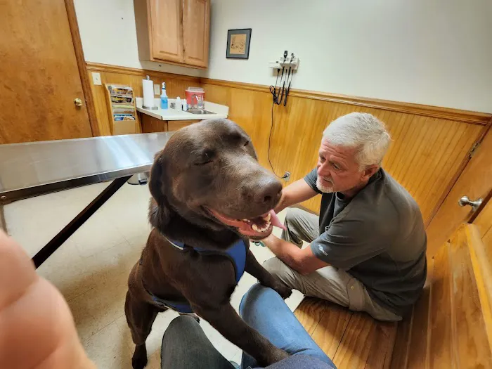 Summerfield Veterinary Hospital P.L.L.C. Picture 8