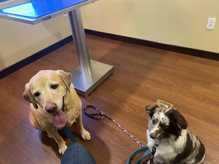 Carr Veterinary Hospital Picture 1