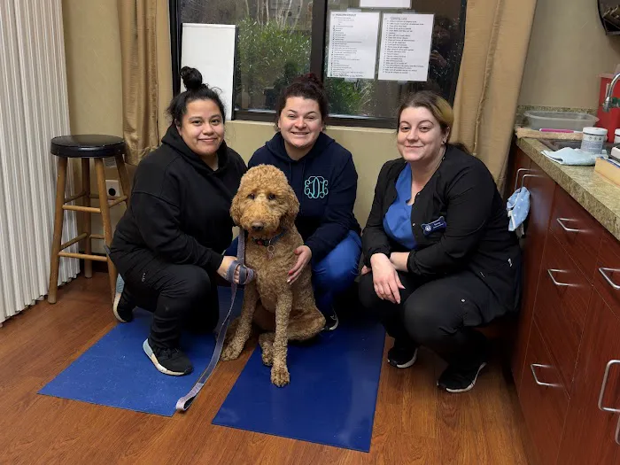 Carr Veterinary Hospital Picture 7