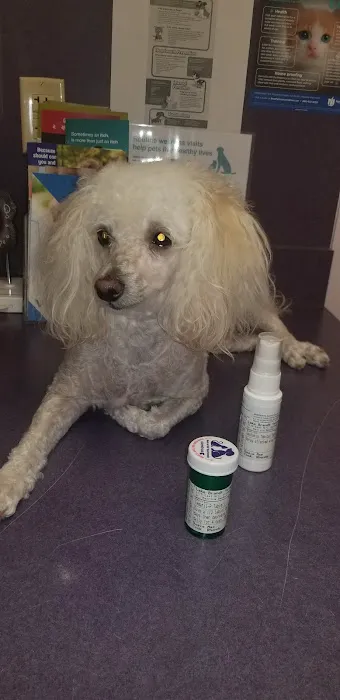 Lake Brandt Veterinary Hospital: Dudak Julie DVM Picture 1