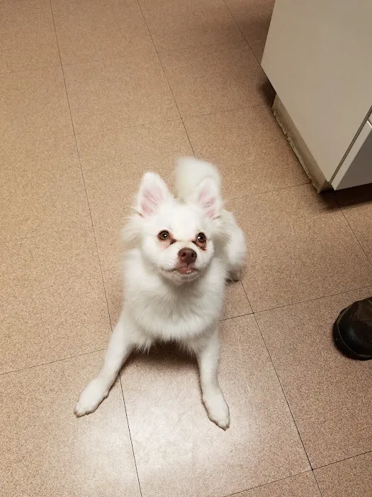 Animal Medical Services Picture 2