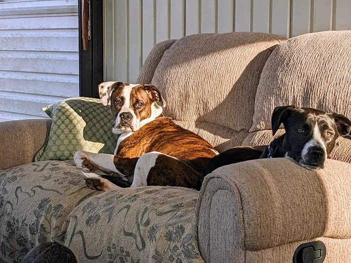 Foothills Pet Healthcare Clinic Picture 2