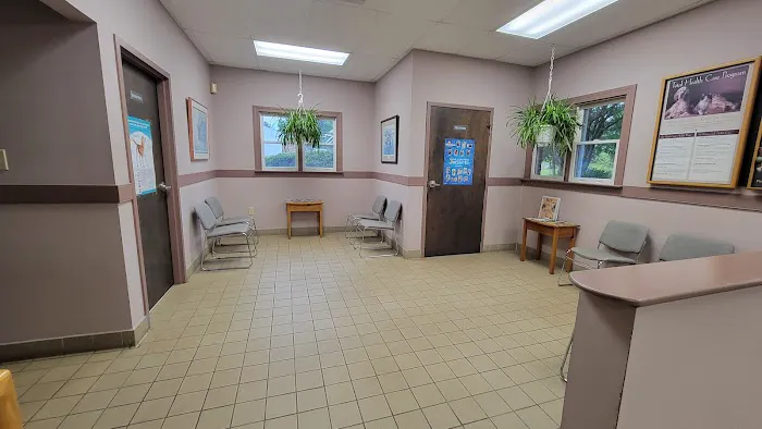 King Veterinary Hospital Picture 8