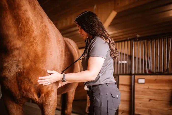 Sullivan Equine Veterinary Service Picture 3