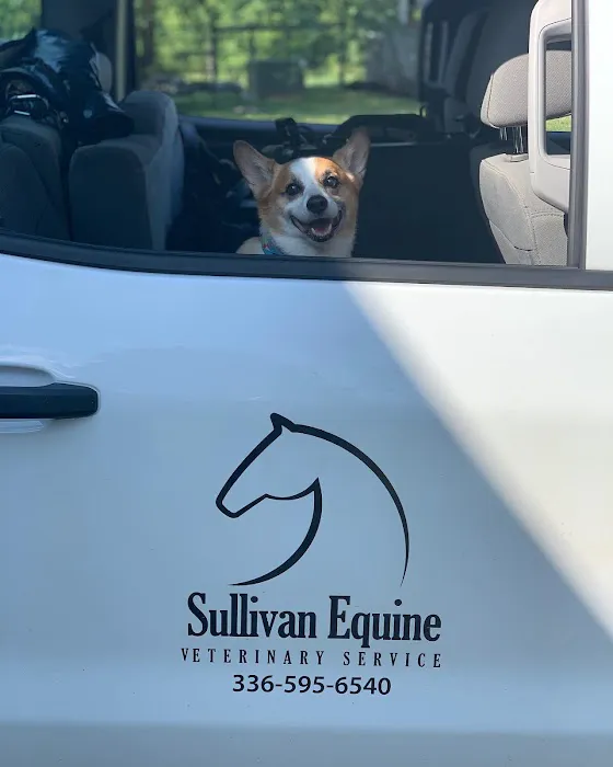 Sullivan Equine Veterinary Service Picture 2