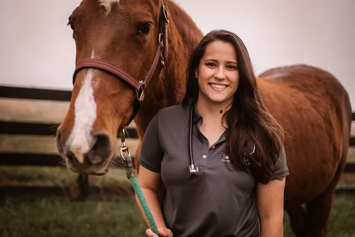 Sullivan Equine Veterinary Service Picture 6