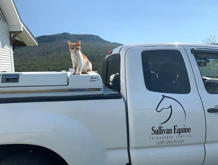Sullivan Equine Veterinary Service Picture 5