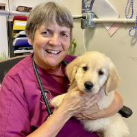 Animal Care Clinic of Rural Hall ico