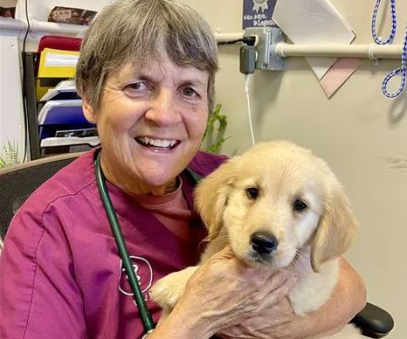 Animal Care Clinic of Rural Hall