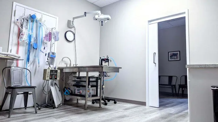 Animal Care Clinic of Rural Hall Picture 8